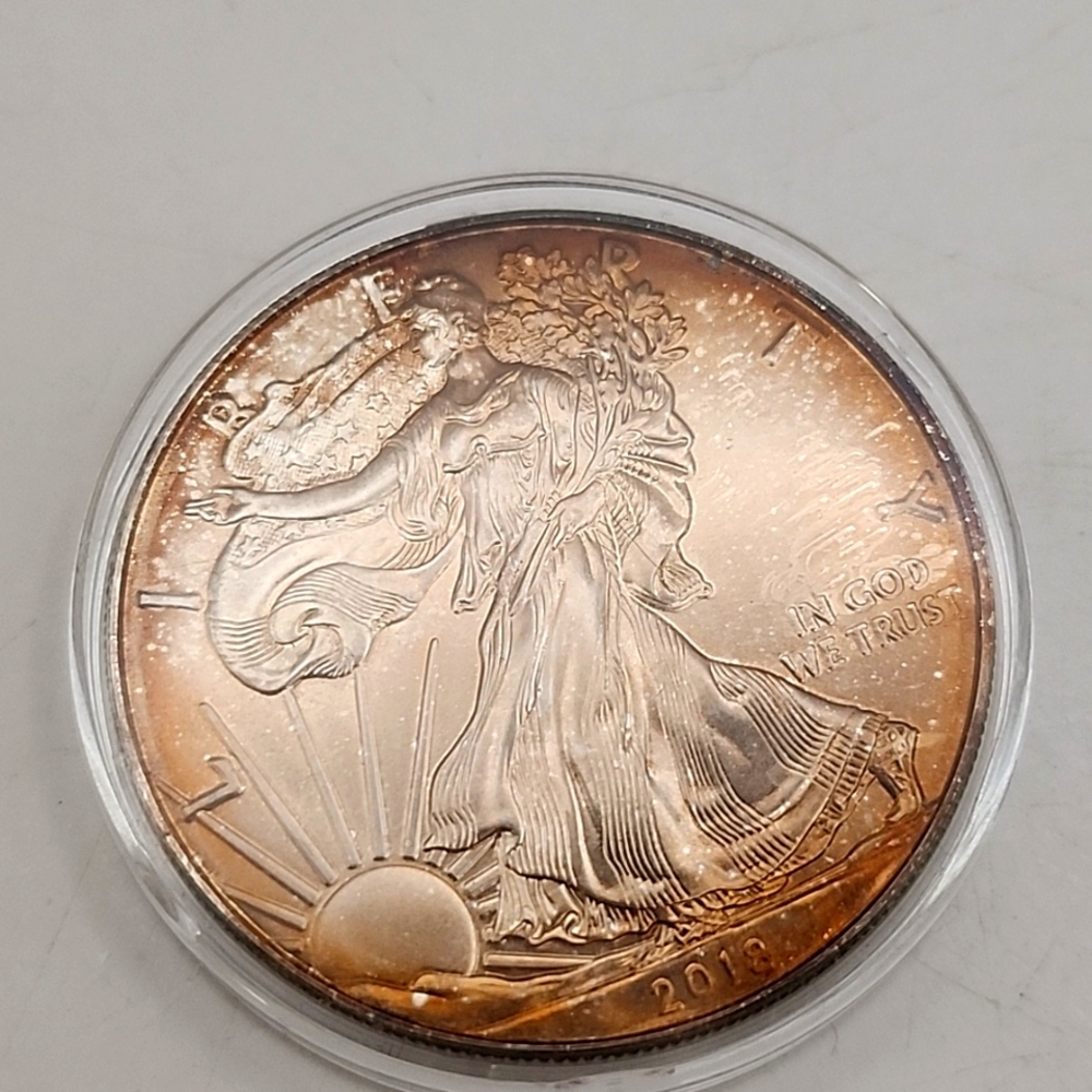 2018 American Eagle Silver Dollar